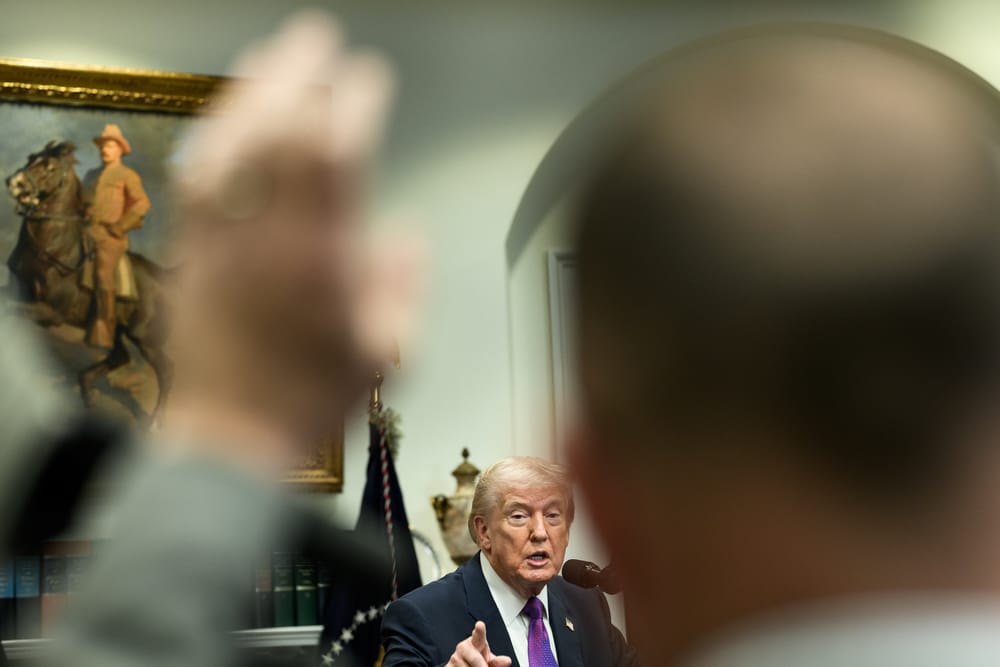 Trump annuncia un ordine esecutivo per imporre il documento d'identità alle elezioni di midterm