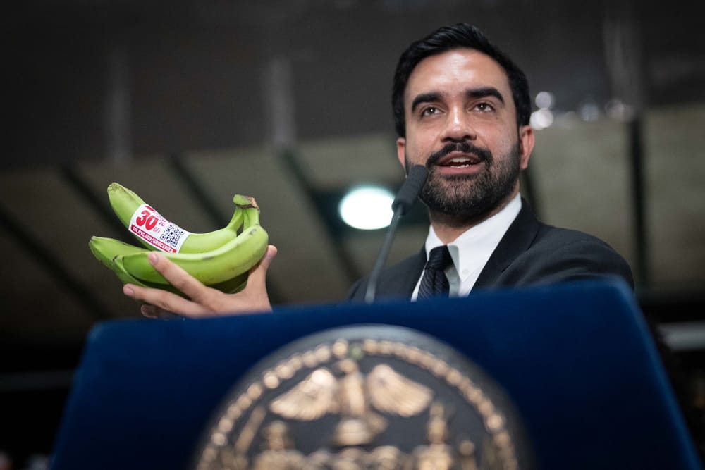 I negozi di alimentari di New York fanno causa a Mamdani per i supermercati comunali