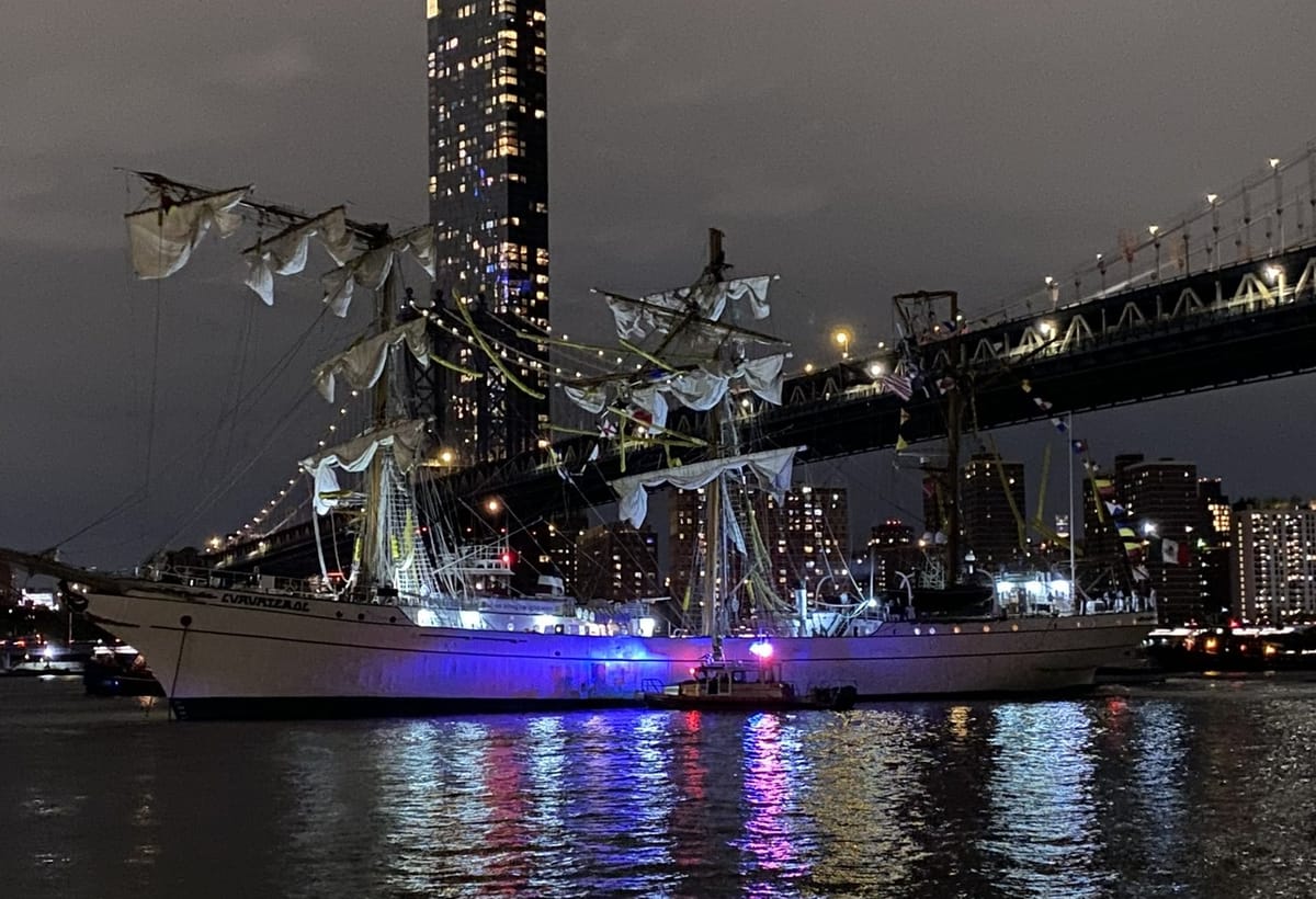 Veliero messicano si schianta contro il ponte di Brooklyn: due morti e 22 feriti
