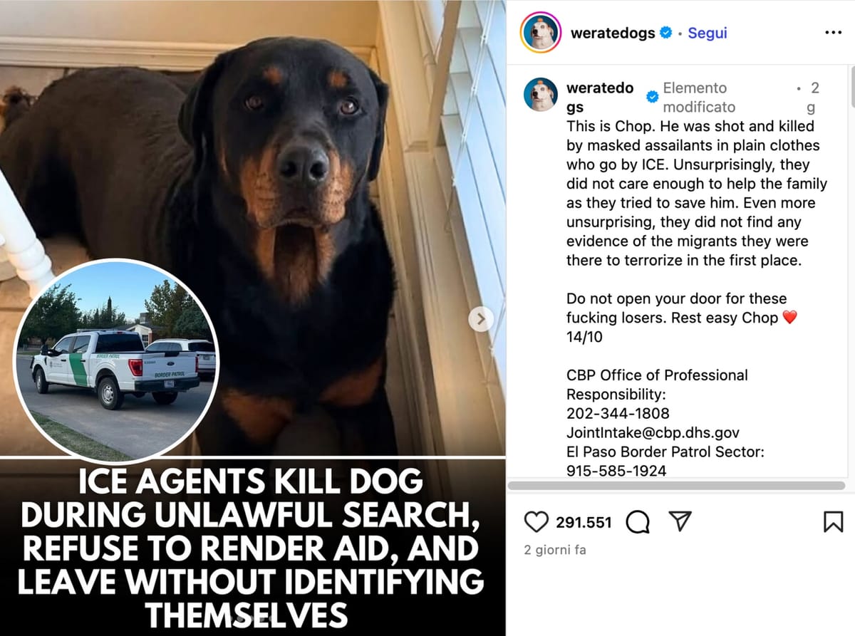 La Border Patrol ha ucciso il cane di una famiglia di El Paso durante una perquisizione