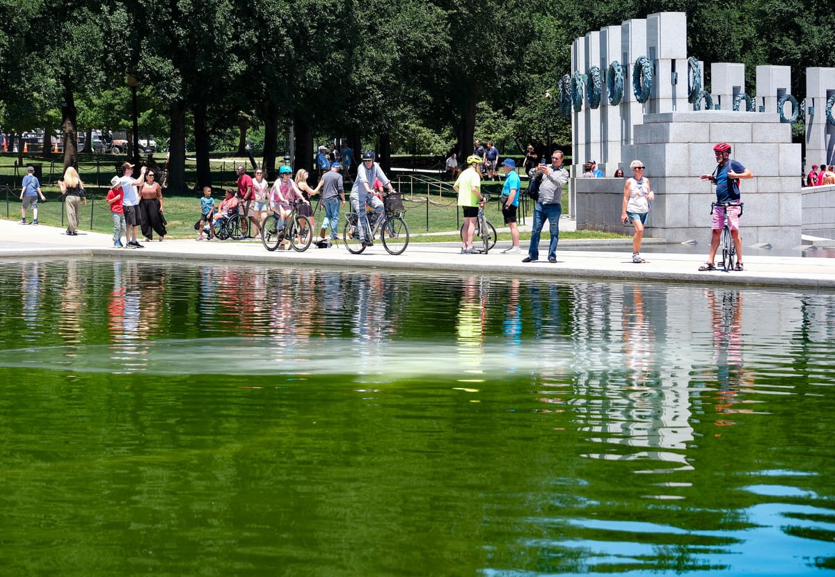 La vasca del Lincoln Memorial è di nuovo verde a due settimane dal 4 luglio
