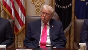 Trump si stava per addormentare alla riunione di governo