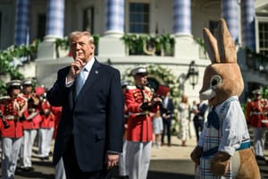 Perché gli appelli a salvare la democrazia non convincono gli elettori di Trump