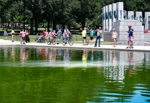 La vasca del Lincoln Memorial è di nuovo verde a due settimane dal 4 luglio