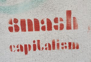 Gli americani perdono fiducia nel capitalismo e nella democrazia