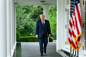 Trump svuota l'agenzia federale che aiuta gli Stati a organizzare le elezioni