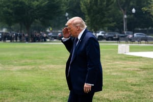 Il 51% degli americani dà a Trump la colpa del caro benzina