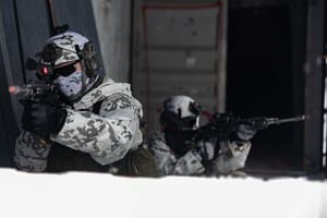 Ai confini con la Russia l'Europa si arma da sola nel timore che Washington non intervenga