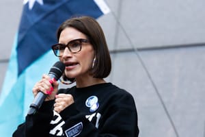 Il Minnesota può rovinare l'onda blu dei Dem al Senato