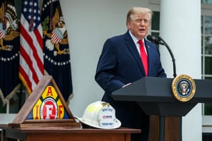Gli elettori di Trump delusi dicono di aver votato Harris: così i sondaggi sottostimano i Dem