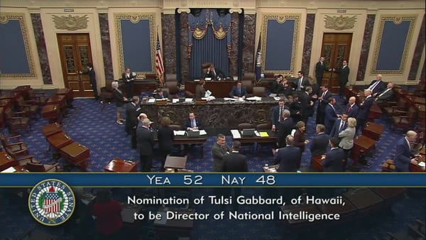 Il Senato conferma Tulsi Gabbard come direttrice dell'intelligence nazionale