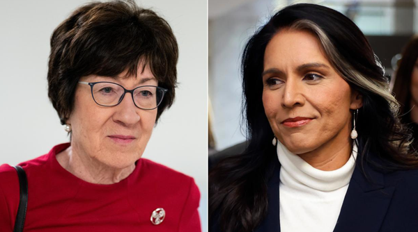 Tulsi Gabbard verso la guida dell'intelligence grazie al via libera di Susan Collins