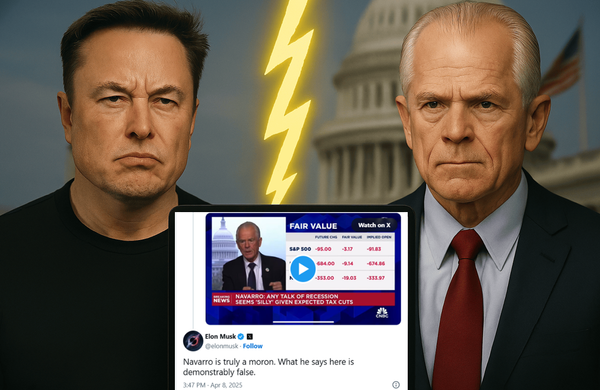 Scontro frontale tra Musk e Navarro, il miliardario consigliere di Trump: "È davvero un idiota"
