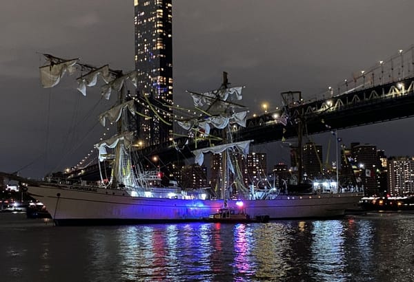 Veliero messicano si schianta contro il ponte di Brooklyn: due morti e 22 feriti