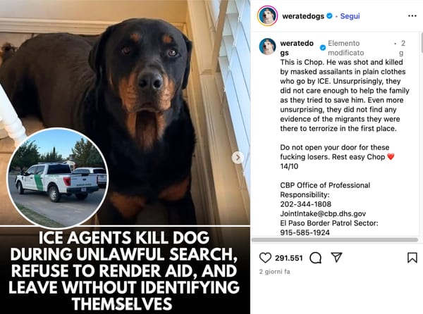 La Border Patrol ha ucciso il cane di una famiglia di El Paso durante una perquisizione