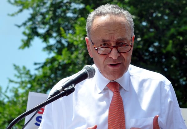 I progressisti contro Schumer per la fine dello shutdown