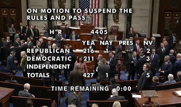 La Camera dei Rappresentanti approva la pubblicazione dei file Epstein quasi all’unanimità