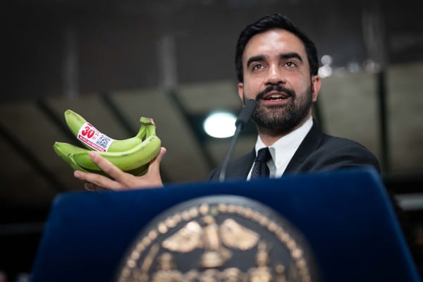 I negozi di alimentari di New York fanno causa a Mamdani per i supermercati comunali