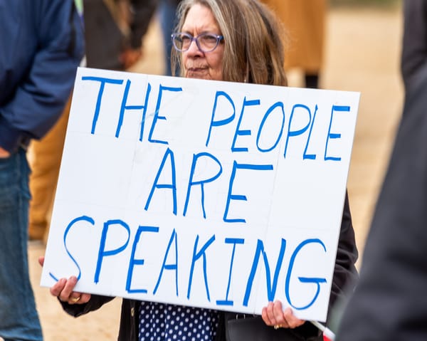 I Dem crescono negli stati di Trump, ma non sfondano in quelli in bilico